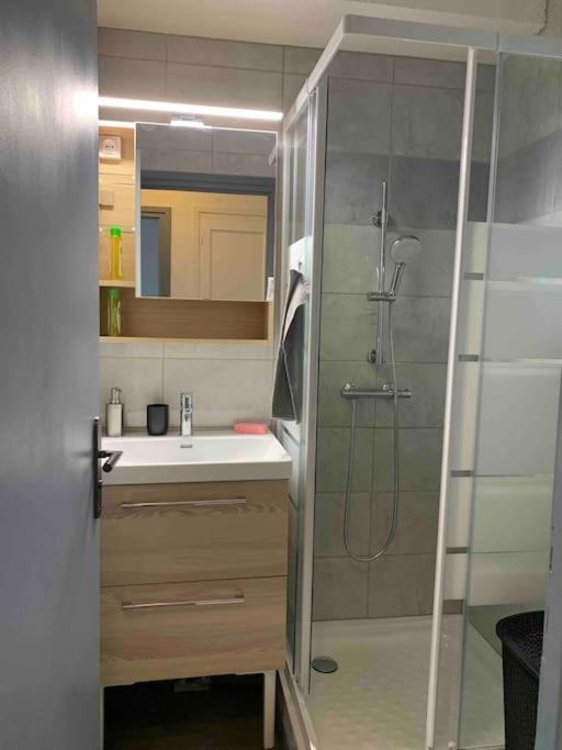 Cosy Confort Parking Clim Wifi Linge Acces Piscine Non Inclus Appartement
